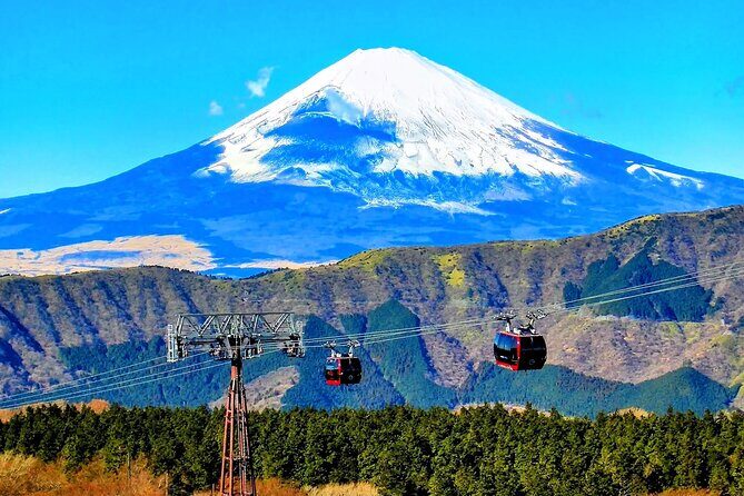Mt Fuji and Hakone 1-Day Bus Tour Return by Bus - Final Word