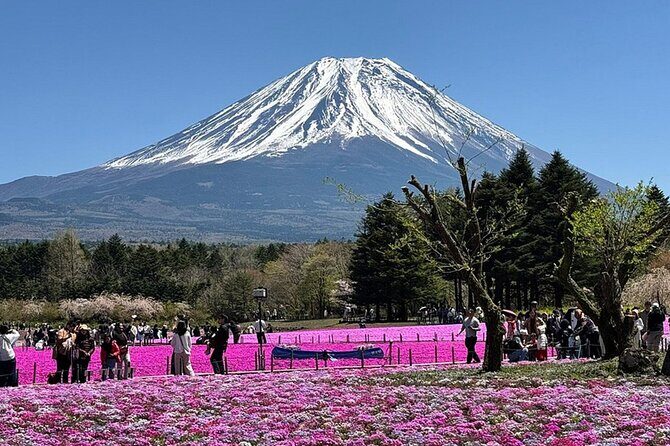 Mt. Fuji and Hakone Cultural Tour with Licensed Guide - Final Thoughts
