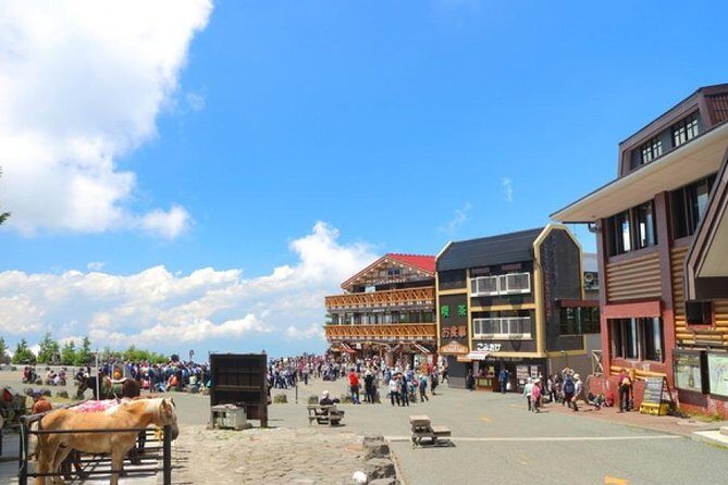 Mt. Fuji and Hakone Day Trip From Tokyo with Bullet Train Option - Who Should Consider This Tour?