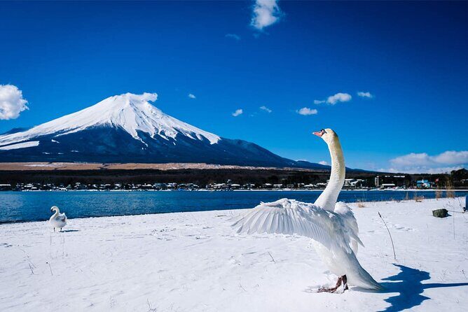 Mt Fuji and Hakone Day Trip from Tokyo with Ropeway Experience - FAQs