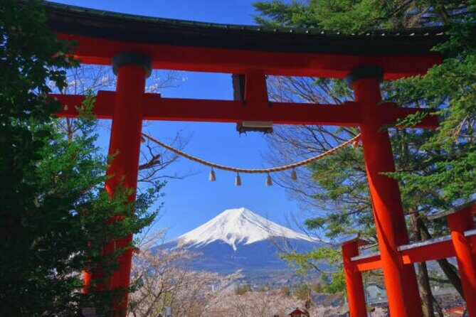 Mt Fuji and Hakone Private tour in Luxury Vehicle with Pro guide - Final Recommendations
