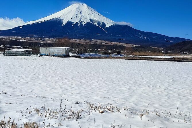 Mt. Fuji and Hakone Private Tour with English Speaking Driver - Who This Tour Is Best For