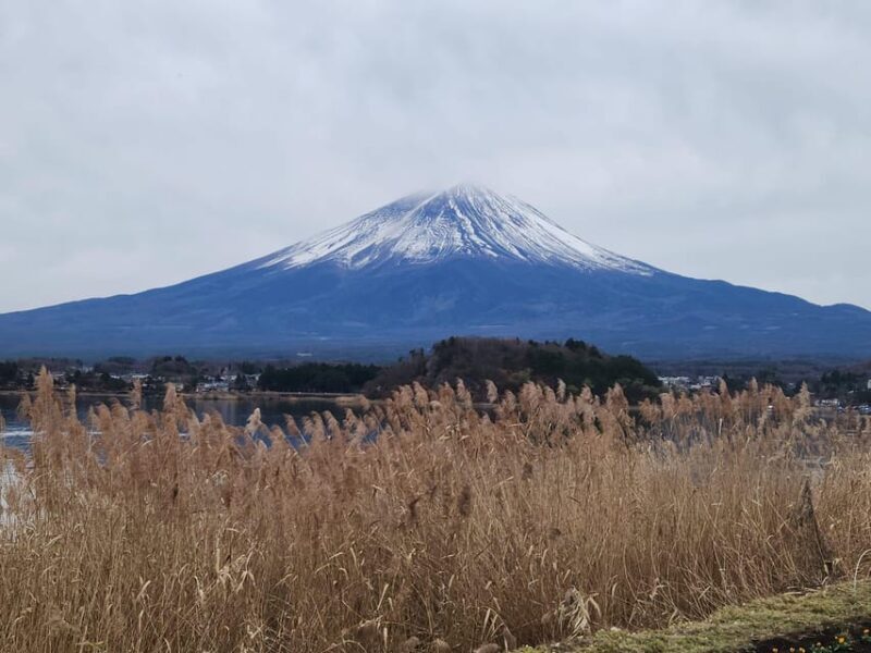 Mt Fuji and Hakone Private Tour With English Speaking Driver - Who Will Love This Tour?