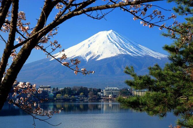 Mt.Fuji and Hakone Tour - Exploring the Itinerary in Detail