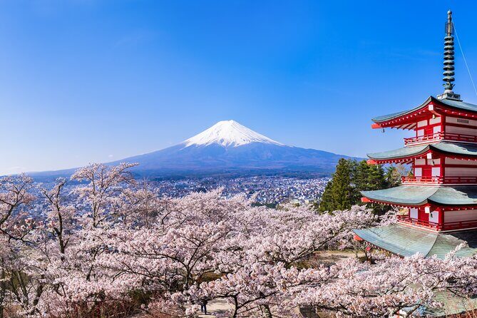 Mt.Fuji and Hakone Tour - Who Is This Tour Best For?