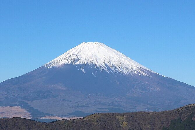 Mt Fuji and Izu Deep View 2 Day Tour from Tokyo - A Comprehensive Look at the Tour Experience