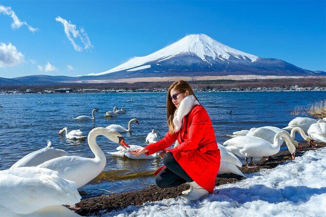 Mt Fuji and Izu Deep View 2 Day Tour from Tokyo - Who Should Consider This Tour?