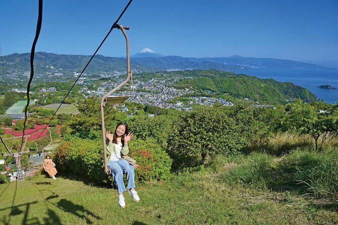 Mt Fuji and Izu Deep View 2 Day Tour from Tokyo - Final Thoughts