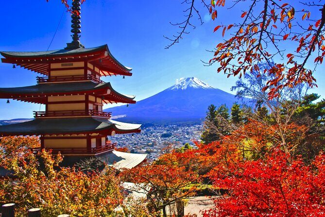Mt Fuji and Lake Kawaguchi 1-Day Luxury Bus Tour From Tokyo - A Complete Guide to the Mt. Fuji and Lake Kawaguchi 1-Day Luxury Bus Tour From Tokyo