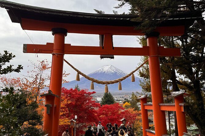 Mt Fuji and Lake Kawaguchi 1-Day Luxury Bus Tour From Tokyo - Who Will Love This Tour?