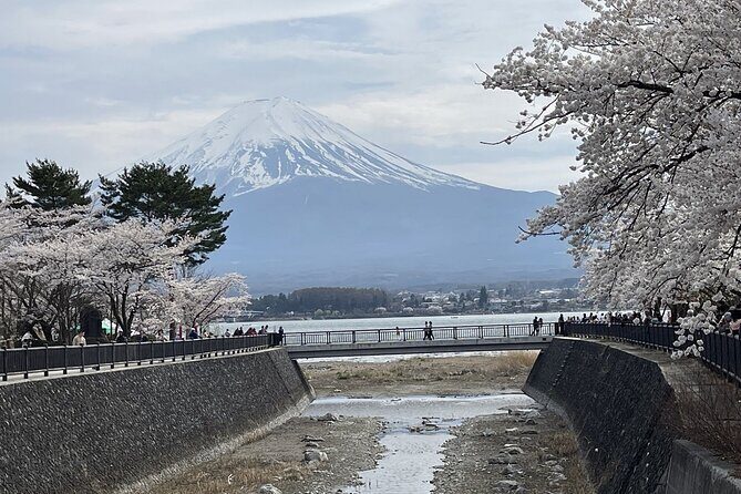Mt. Fuji and Lake Kawaguchi Sakura Festival Sightseeing Tour - Exploring the Tour: A Deep Dive into the Day