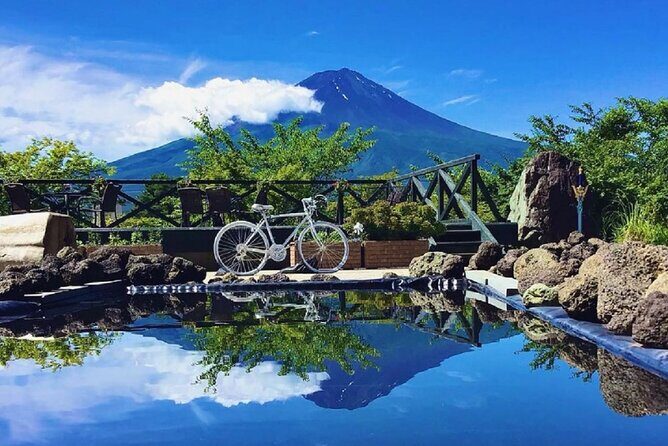 Mt. Fuji and Lake Kawaguchi Sakura Festival Sightseeing Tour - Who Should Consider This Tour?