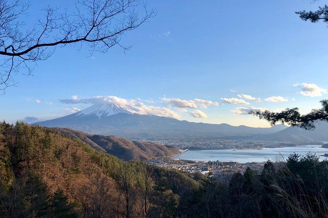 Mt Fuji Area Private Guided Tours in English-Nature up close, quiet, personal - The Bottom Line: Perfect for Authentic, Quiet Exploration