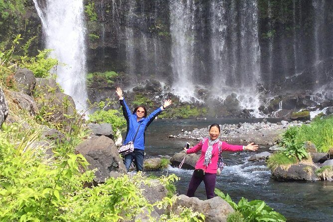 Mt.Fuji area Tour from Shimizu Port / Van Taxi - Analyzing the Value and Price