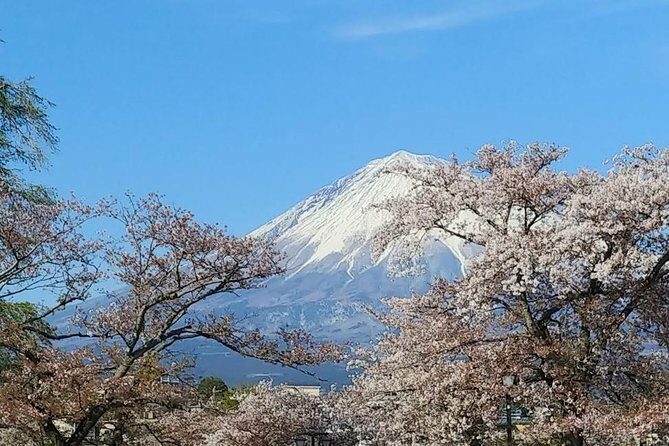 Mt.Fuji Chartered Taxi Tour - Key Points