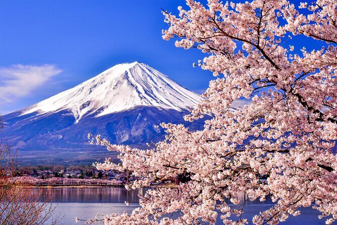 Mt. Fuji Cherry Blossom One Day Tour From Tokyo - An In-Depth Look at the Mt. Fuji Cherry Blossom One Day Tour From Tokyo