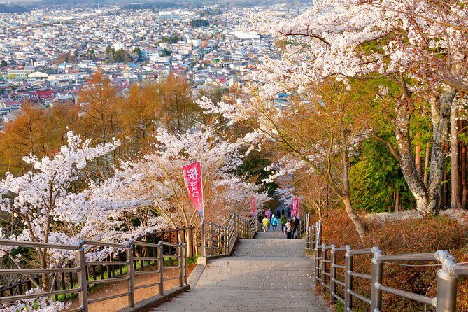 Mt. Fuji Cherry Blossom One Day Tour From Tokyo - Analyzing the Value