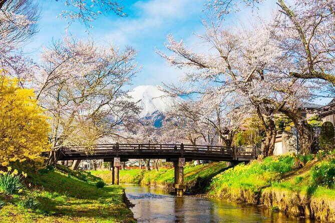 Mt. Fuji Classic One Day Tour from Tokyo - Key Points