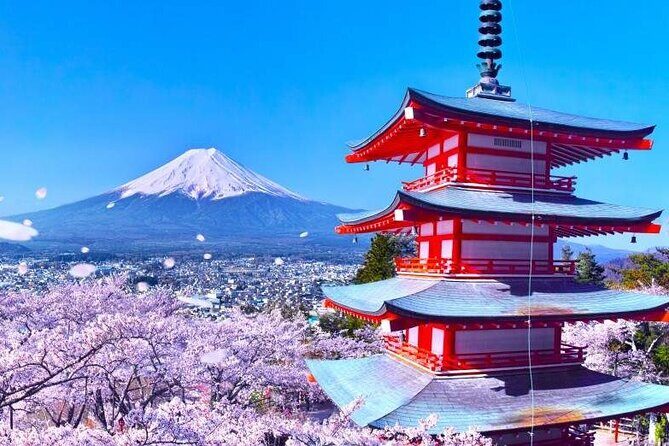 Mt Fuji Day Tour: Chureito Pagoda, Lake Kawaguchi & Oshino Hakkai - Key Points