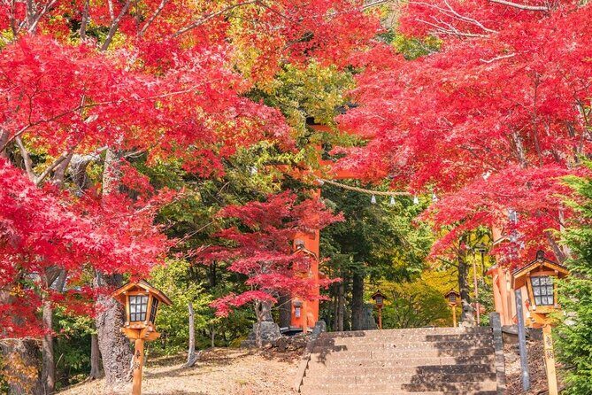 Mt Fuji Day Tour: Chureito Pagoda, Lake Kawaguchi & Oshino Hakkai - Final Thoughts: Is This Tour for You?