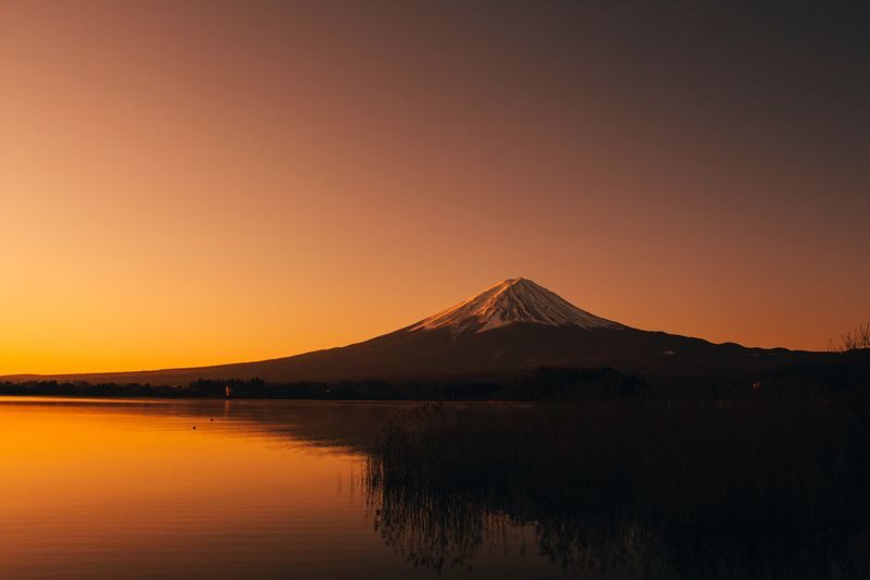 Mt. Fuji Day Tour: Flower Sightseeing & Outlet Shopping from Tokyo - A long day out of Tokyo, with the driving handled