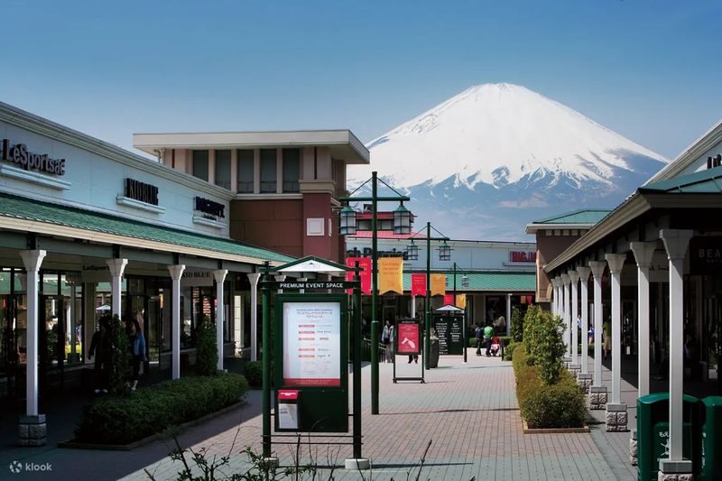 Mt. Fuji Day Tour: Flower Sightseeing & Outlet Shopping from Tokyo - Lunch, price and what the package includes