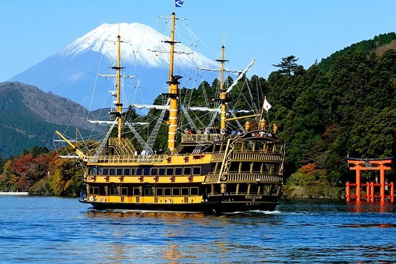 Mt. Fuji Day Tour: Flower Sightseeing & Outlet Shopping from Tokyo - Who will get the most from this trip