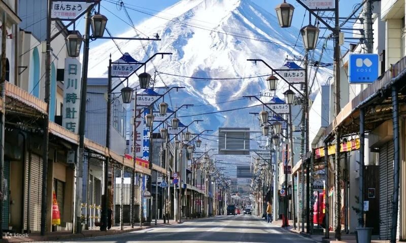 Mt. Fuji Day Tour: Flower Sightseeing & Outlet Shopping from Tokyo - Booking and practical details
