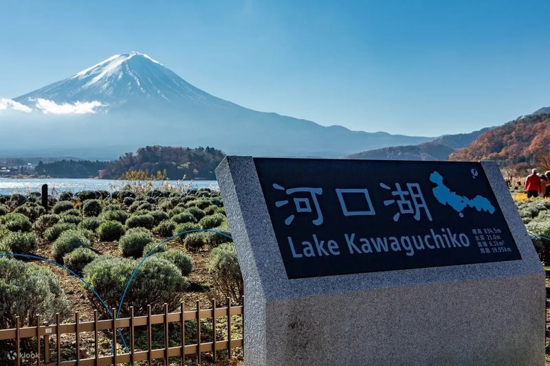 Mt. Fuji Day Tour: Flower Sightseeing & Outlet Shopping from Tokyo - Should you book the Mt. Fuji day tour?