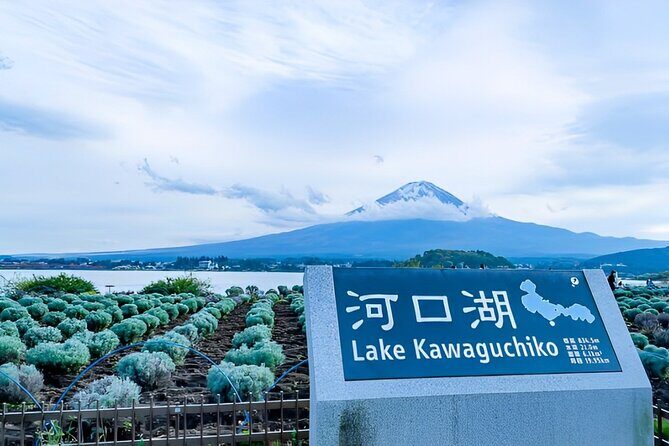 Mt FUJI Day Tour with Private Car and English Speaking Guide - Key Points