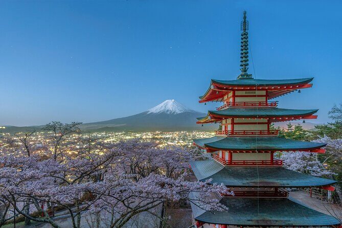 Mt FUJI Day Tour with Private Car and English Speaking Guide - FAQ