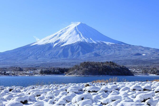 Mt. Fuji Day Trip Arakurayama Sengen and Instagrammable Lawson - The Crowning View: Arakurayama Sengen Park & Its Five-Story Pagoda