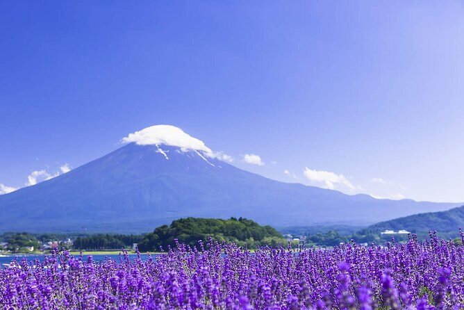 Mt. Fuji Day Trip Arakurayama Sengen and Instagrammable Lawson - Nostalgic Streets and Retro Finds
