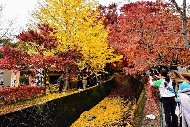 Mt Fuji day trip from Tokyo by car with photographer guide - Who Should Consider This Tour?