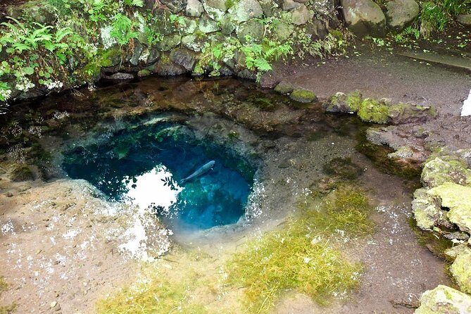 Mt Fuji day trip from Tokyo by car with photographer guide - In The Sum Up: Is It Worth It?