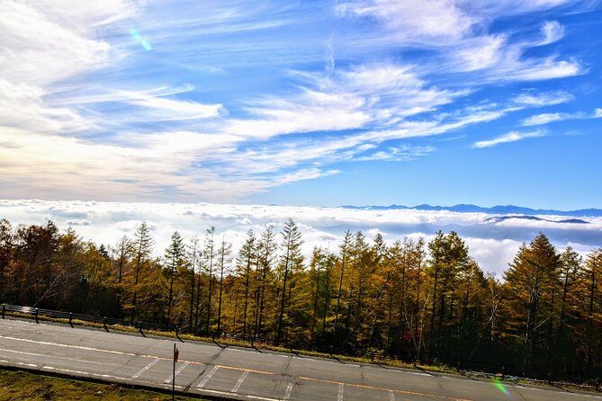 Mt Fuji day trip from Tokyo by car with photographer guide - Frequently Asked Questions