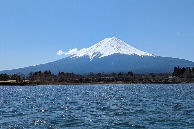 Mt. Fuji Day Trip from Tokyo with English Speaking Driver - Who Will Love This Tour?