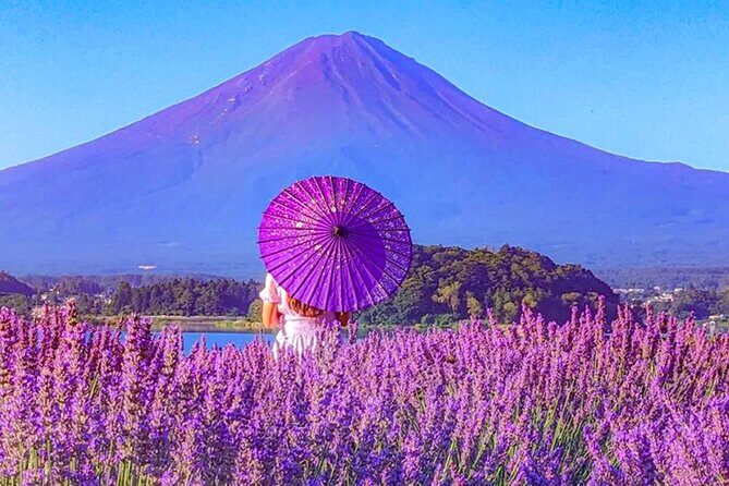 Mt Fuji Day Trip KABA Bus Lake Cruise and Lawson Photo - The Sum Up