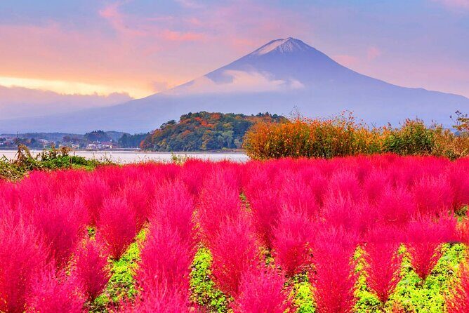 Mt. Fuji Day Trip: Oshino Hakkai, Lake Kawaguchi & Ladder Town - Frequently Asked Questions