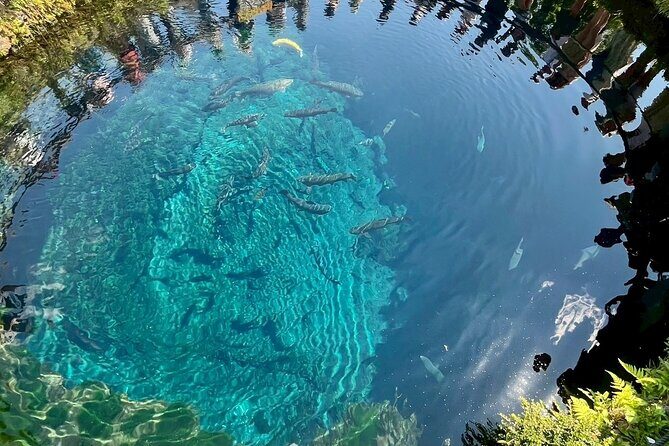 Mt. Fuji Early Morning E-Bike Tour - Final Thoughts