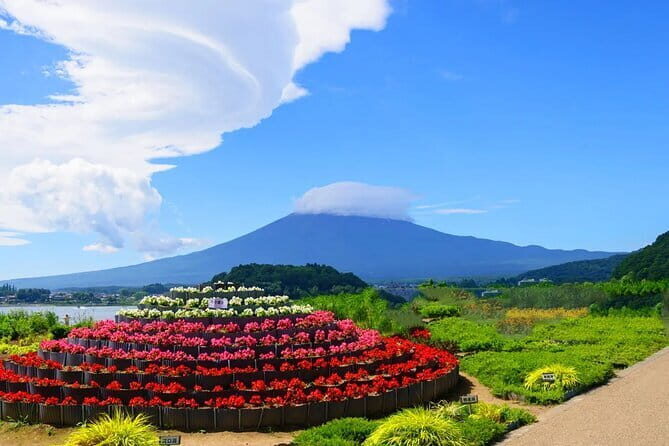 Mt Fuji Exploration Tour with Free Japanese Kusa Mochi from Tokyo - Exploring the Tours Itinerary in Detail