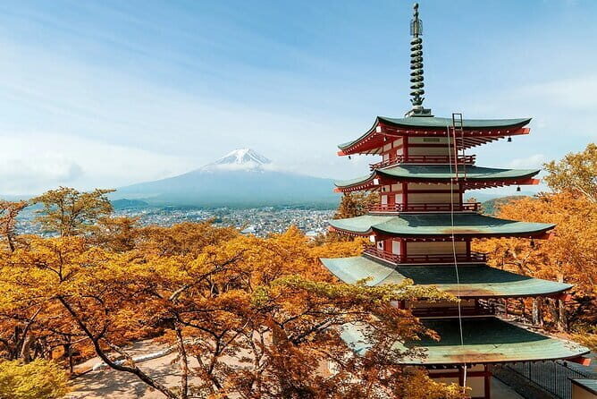 Mt Fuji Exploration Tour with Free Japanese Kusa Mochi from Tokyo - Who Will Enjoy This Tour?