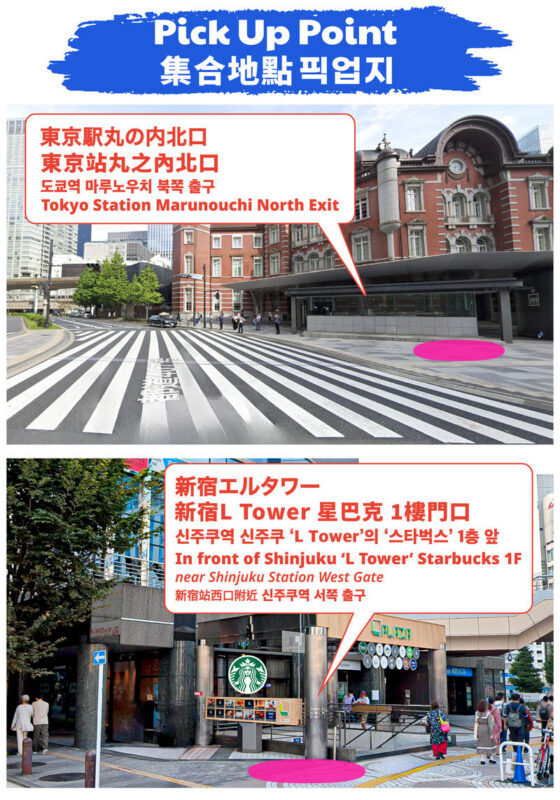 Mt. Fuji - Fujiyama Snow Ski Resort Yeti Day Trip from Tokyo - Who should book this day trip