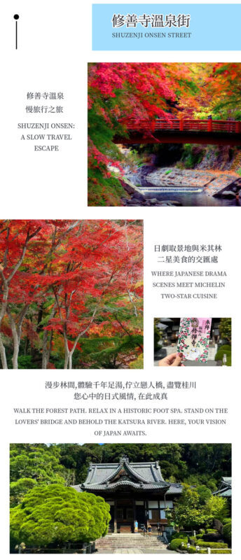 Mt. Fuji, Hakone, and Kamakura 2-Day Tour | Mt. Fuji 5th Station or Arakurayama Sengen Park, Kawaguchiko Ropeway, Owakudani, Lake Ashi Torii, Shuzenji Onsen Hotel, Enoden, Kamakurakoko-mae Station | Departure from Tokyo - What the price covers, and what it doesn’t