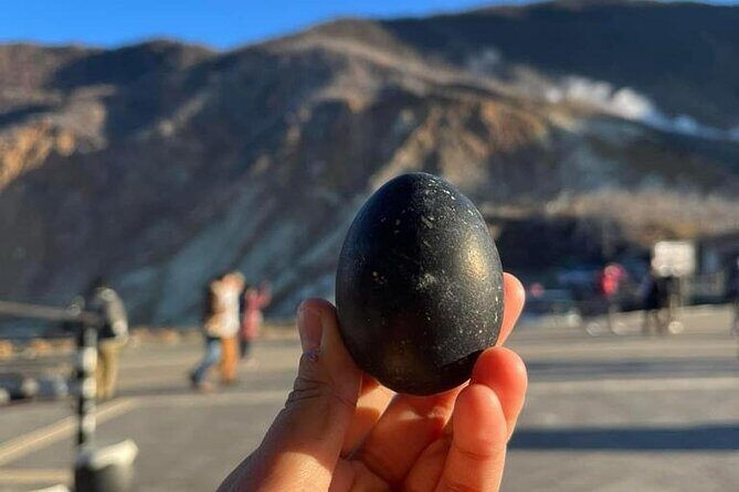 Mt. Fuji & Hakone Cherry Blossom private One Day Tour - Key Points