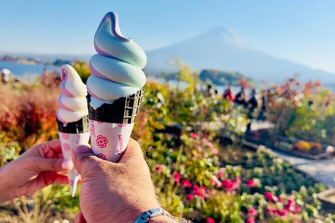 Mt. Fuji & Hakone Cherry Blossom private One Day Tour - A Deep Dive into the Experience