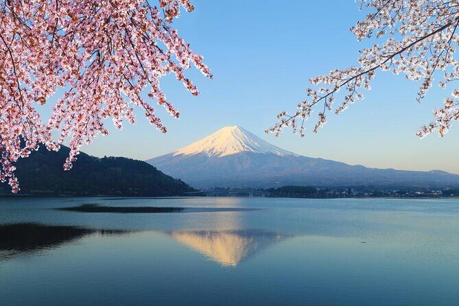 Mt Fuji & Hakone Cruise, Drum Show Bullet Train 1 Day from Tokyo - Key Points