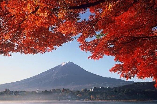 Mt Fuji & Hakone Cruise, Drum Show Bus 1 Day from Tokyo - Analyzing the Value: Is This Tour Worth It?