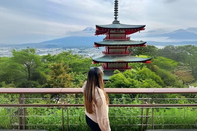 Mt fuji & Hakone customizable day tour w/ English speaking guide - Who Should Consider This Tour?