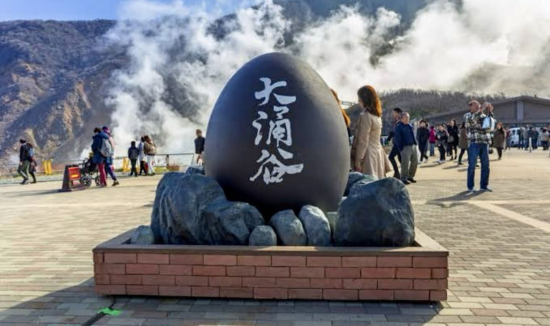 Mt. Fuji & Hakone Full-Day Customizable Private Tour - At a glance